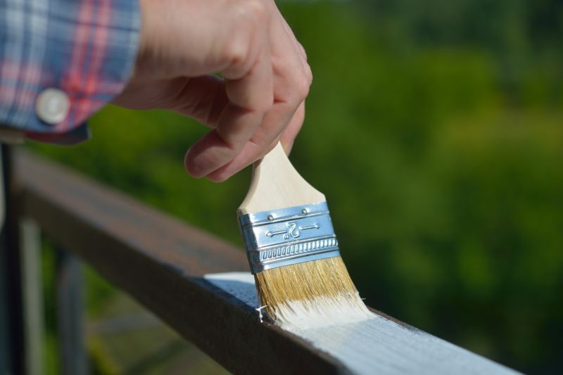Cladding Painting in Longmont, CO
